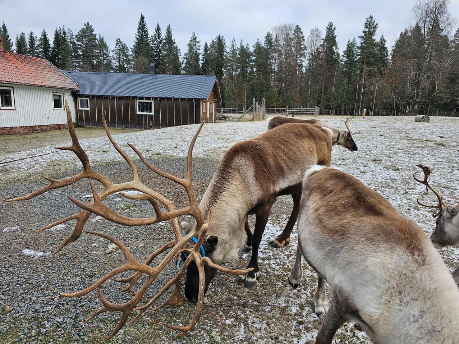 Villa Fregn Ljørdal Екстериор снимка